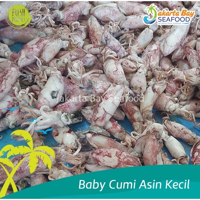 

Baby Cumi Asin Kecil Kering 70% Untuk Sambal Baby Cumi 500 Gr