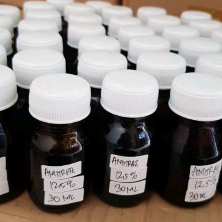 amitras - amitraz obat kutu jamur