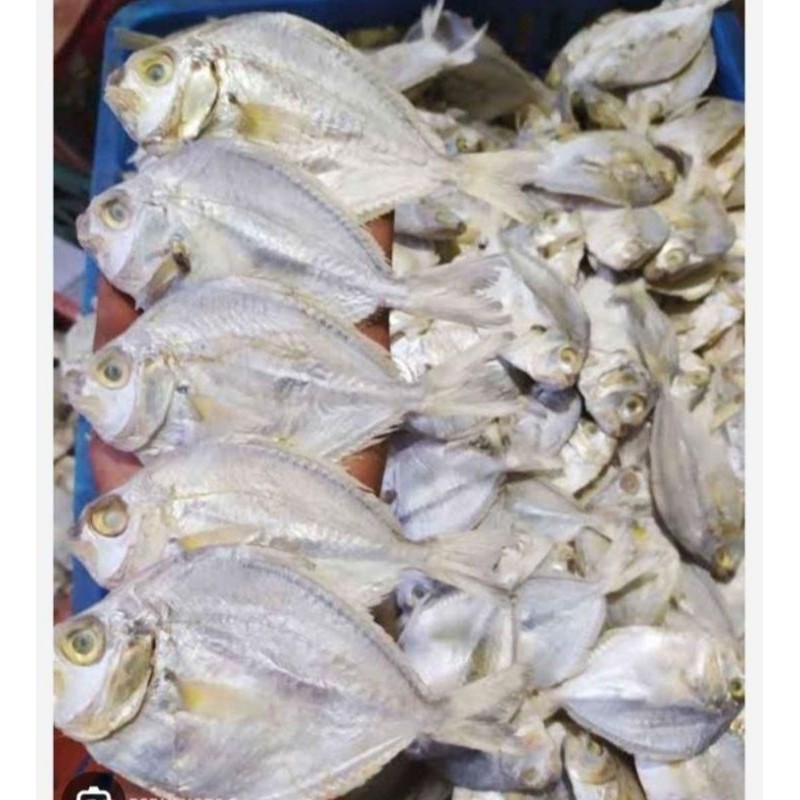 

1KG IKAN ASIN PETEK BESAR PETEK PUTIH SUPER A1