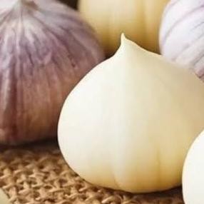

BAWANG PUTIH TUNGGAL-KUPAS BERSIH 1 KG MRS03