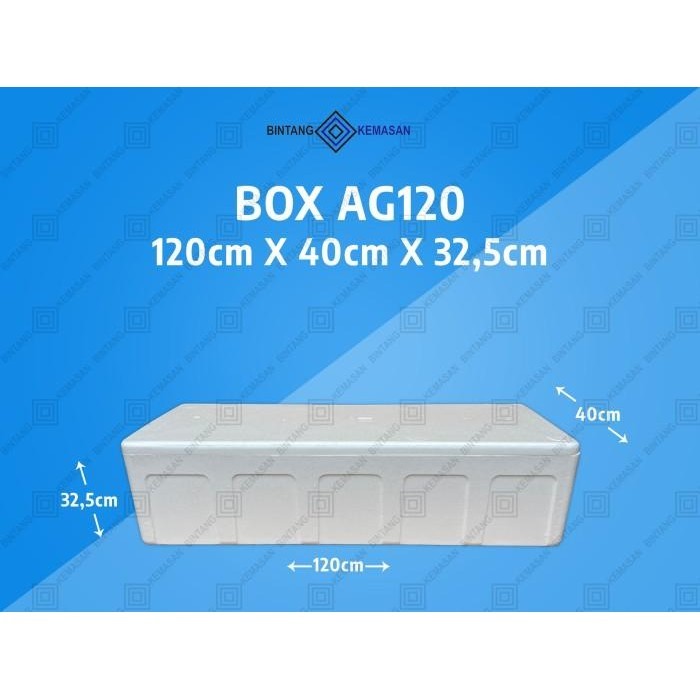 

Box Styrofoam Ag120 120 X 40 X 32,5Cm - Foam Box