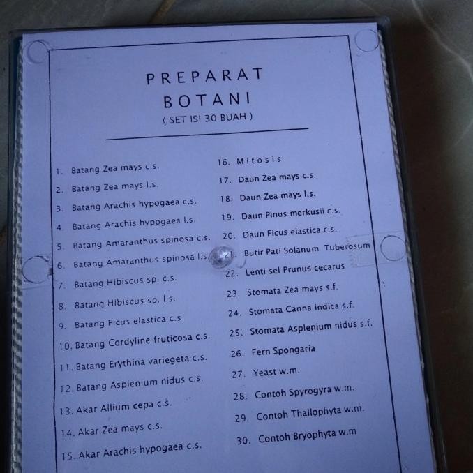 xie PREPARAT ANATOMI TUMBUHAN 1 BOX, PREPARATE PERAGA PENDIDIKAN BIOLOGI