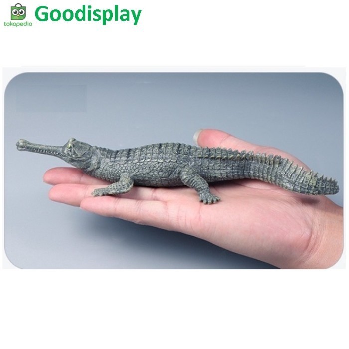 

MAINAN PAJANGAN FIGUR HEWAN MINIATUR BUAYA INDIA GHARIAL CROCODILE