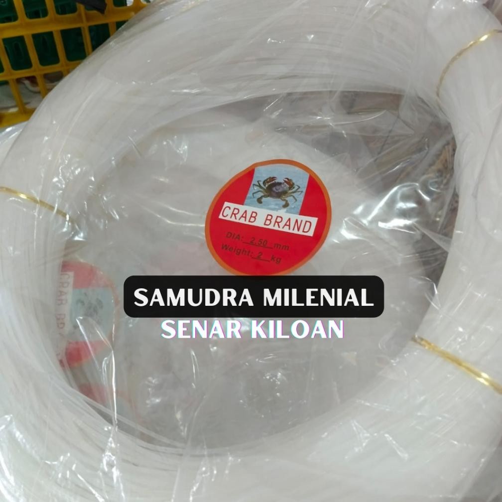 TERMURAH Senar Layangan / Senar Kiloan / Senar Pancing Berbagai Ukuran (0,6mm - 3mm) GROSIR SP14