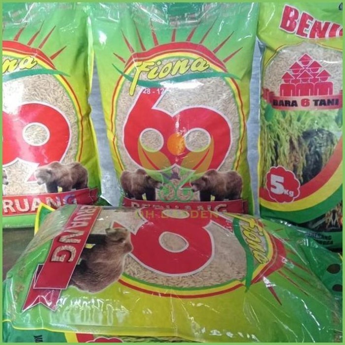 New TERBAIK Benih Bibit Padi Ciherang Beruang Ori fiona 5 kg Label ungu