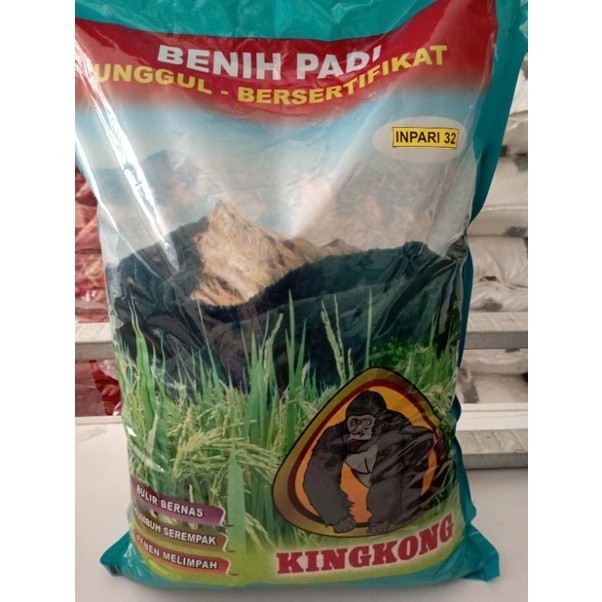 New benih padi kingkong inpari 32 premium jumbo @5kg=Exp oktober 23 (',')