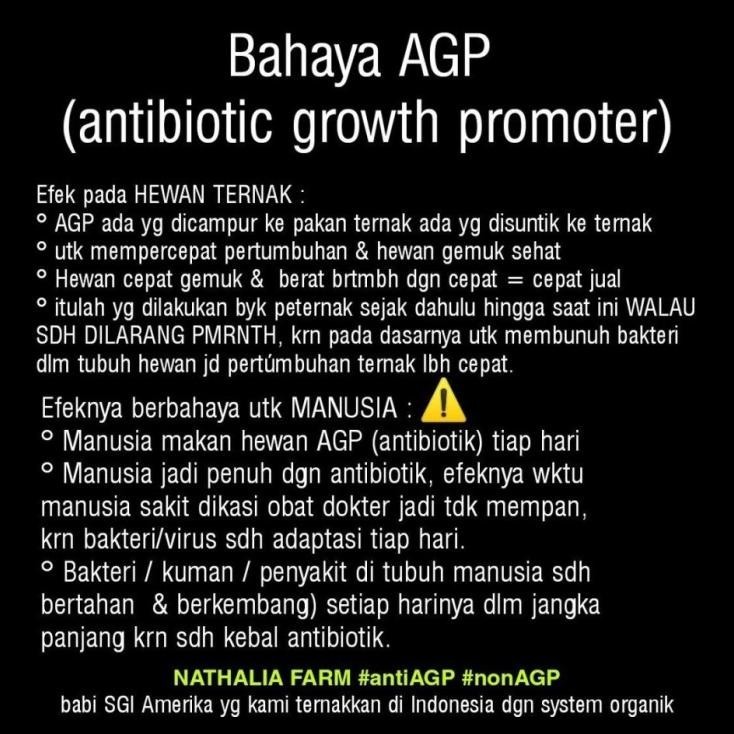 

SALE TERBARU PORK SKIRT / SECRETO / HARAMI DAGING BABI ORGANIK READYY