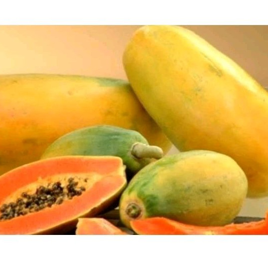 

Pepaya California Manis 1 buah