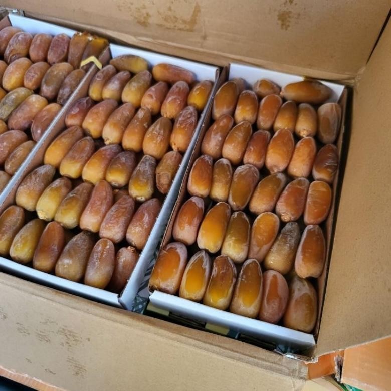 

Buah Kurma Ruthob Libya 1Kg Frozen Ternikmat Fresh Original Matang Manis Diskon