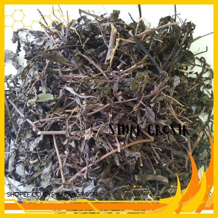 

HERBAL KUMIS KUCING KERING 1KG ASLI DAN MURNI GRADE BAGUS