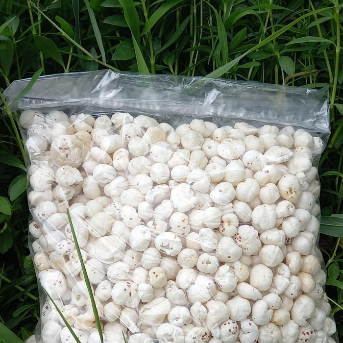 

LIMITED EDITION ANOOP MAKHANA INDAIN SNACK 250 GRAM