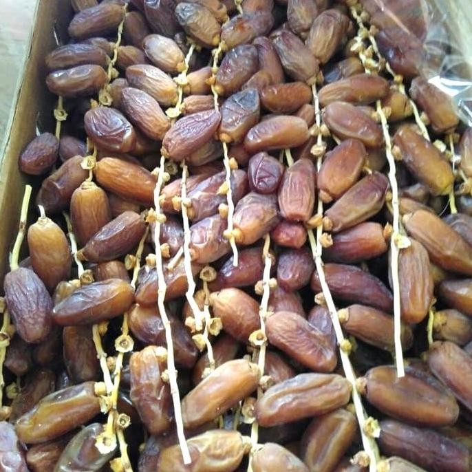 

Kurma Tunisia Tangkai Curah 1kg P67JM