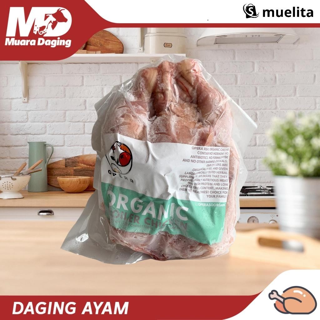 

Opera Ayam Broiler -Gratisongkir
