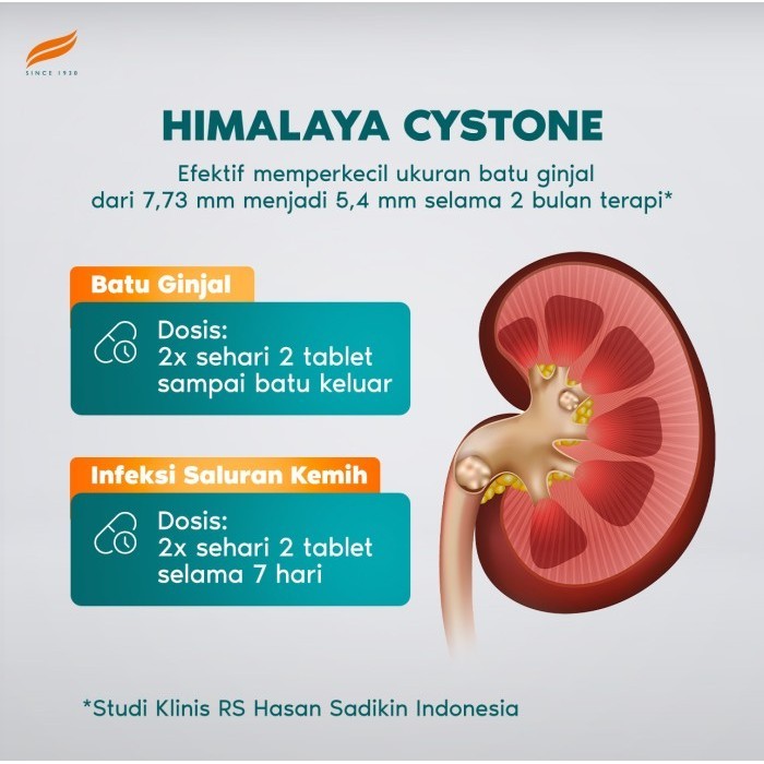 Himalaya Cystone Tablet 100'S