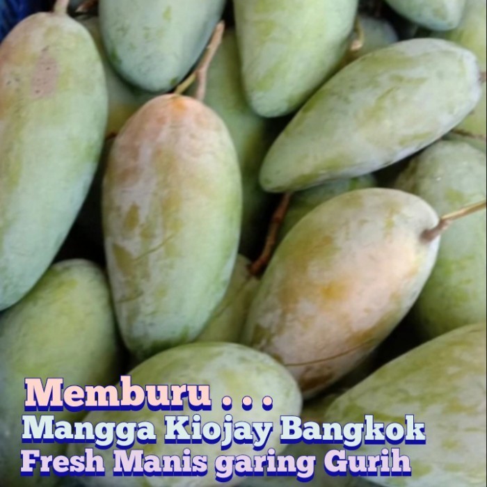 

Mangga Kiojay Bangkok Thailand Fresh Garing Manis