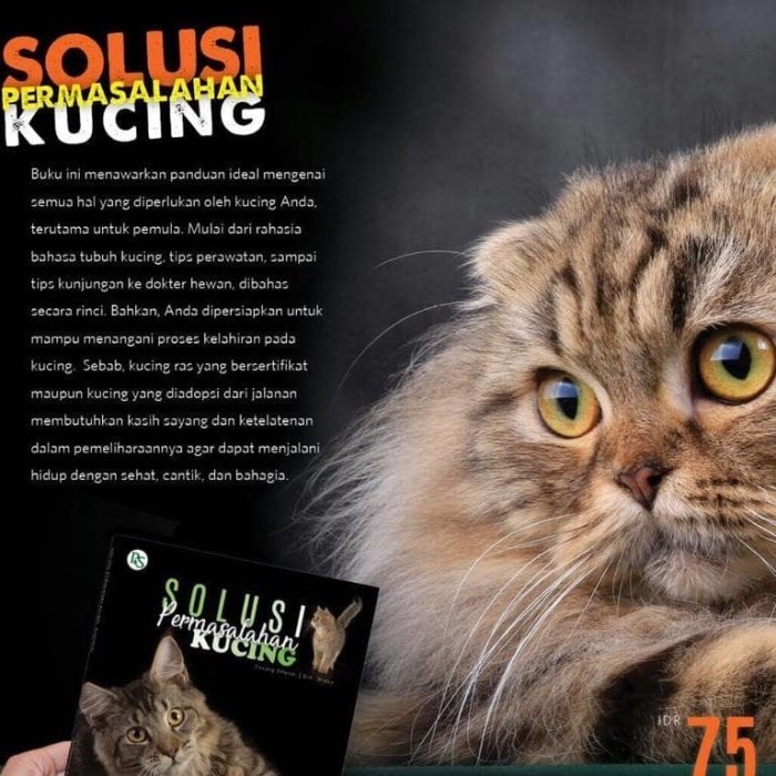 

Buku Solusi Permasalahan Kucing