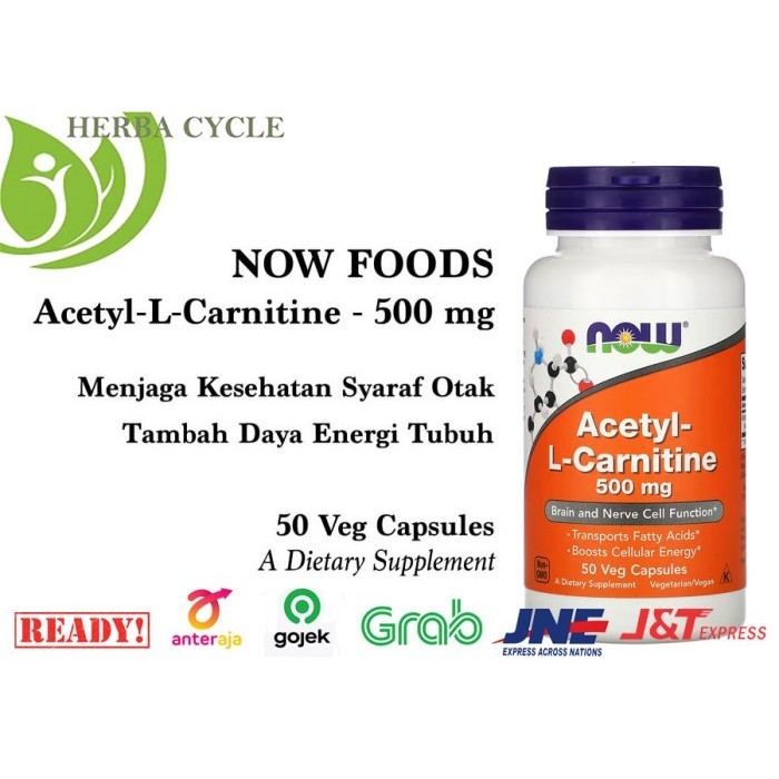 NOW ACETYL L CARNITINE 500 MG (50 VEGCAPS) NOW FOOD ACETYL L CARNITINE
