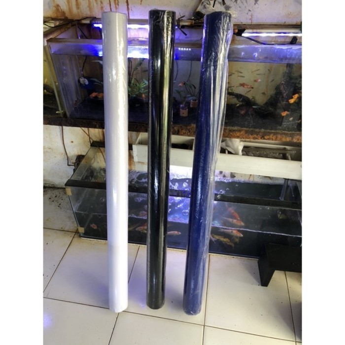 

Scotlet Background Aquarium