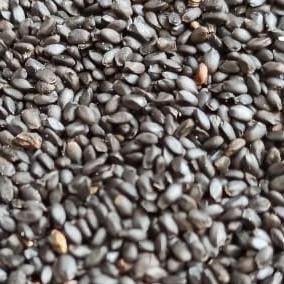 

biji selasih premium 1kg best seller HE