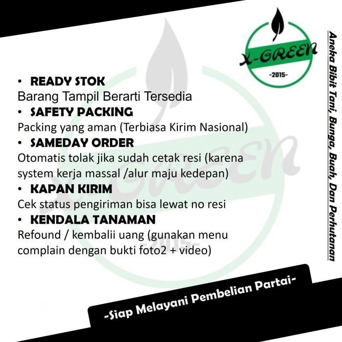 

Promo 4 Tanaman Buah Surikaya Jumbo, Sirsak Madu - (X-Green) Best Seller