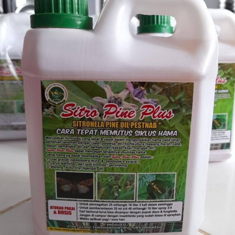 New Sitro Pine Plus Cthi 1L (Home Industri) Terlaris