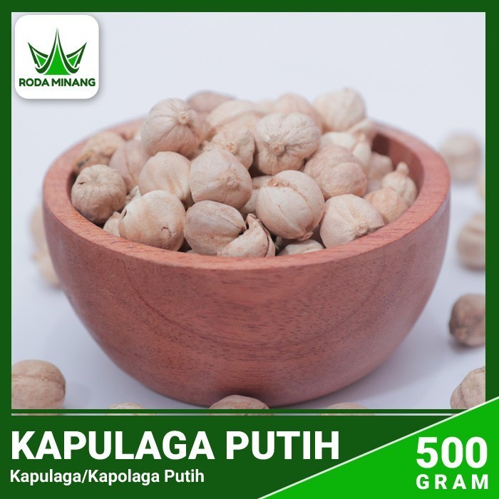 

Kapulaga Putih White Cardamon Kapolaga Lokal Bal Dou Kou - 500 Gram