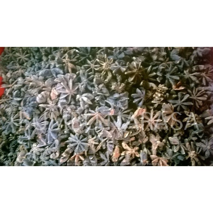 

Bunga lawang / Kembang Lawang / pekak 500gr narasa