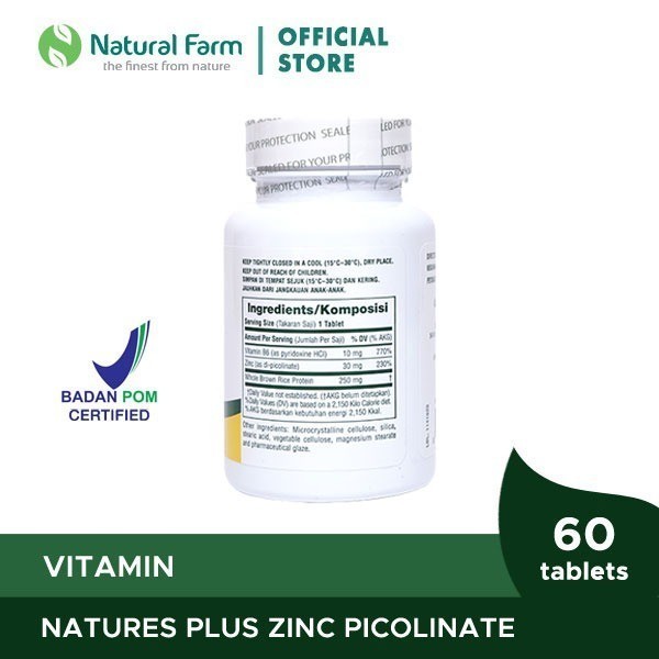 Natures Plus Zinc Picolinate W/B6
