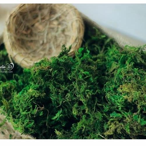 Lumut Hijau Premium Artificial 1 Kg Lumut Kering Rumput Halus Sintetis