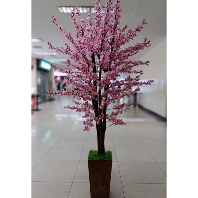 Pohon Bunga Meihua Sakura Imlek Angpao Besar Tinggi 175 Cm 2 M Imlek