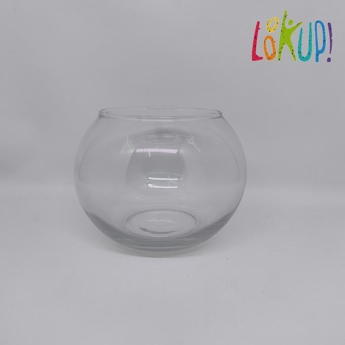 Vas Bunga Kaca Bulat/Pot Tanaman Air Hidroponik Hias/Tempat Serbaguna