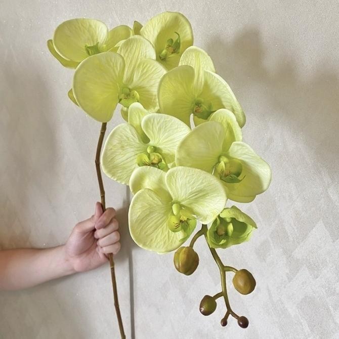 Anggrek Besar 8 Kepala Artificial Palsu Import