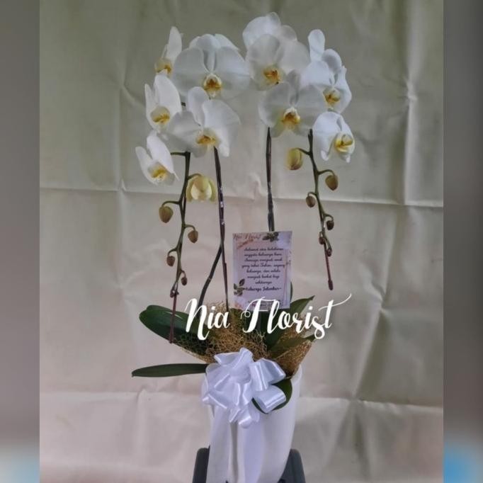 

Diskon Terbatas Rangkaian Bunga Hampers Parcel Lebaran Emyrastore