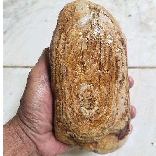 batu fosil kayu jati (05)