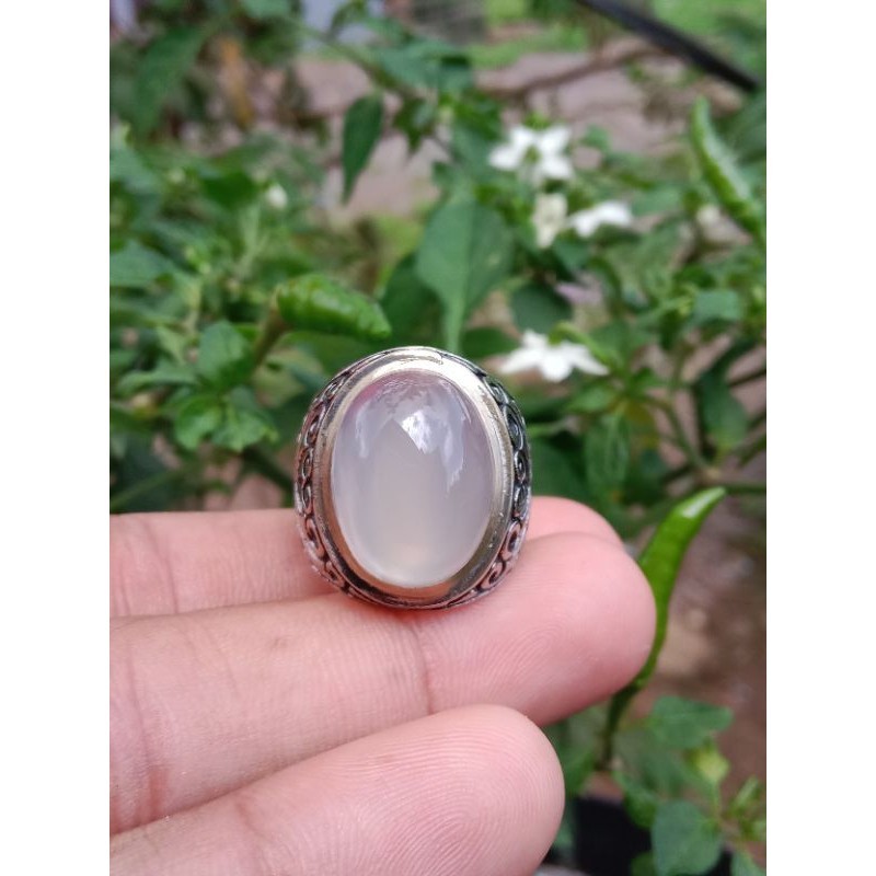 NATURAL ANGGUR GIWANG