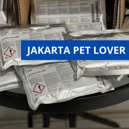 Caro Pink 100 Gr Original Caro Prancis