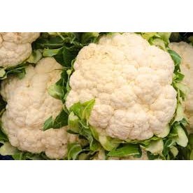 

Sayur brokoli putih Brokoli Putih