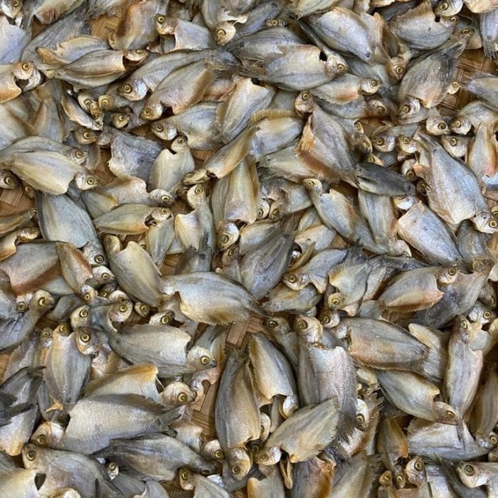 

Ayala - Ikan Sepat Tawar Kering 500Gram
