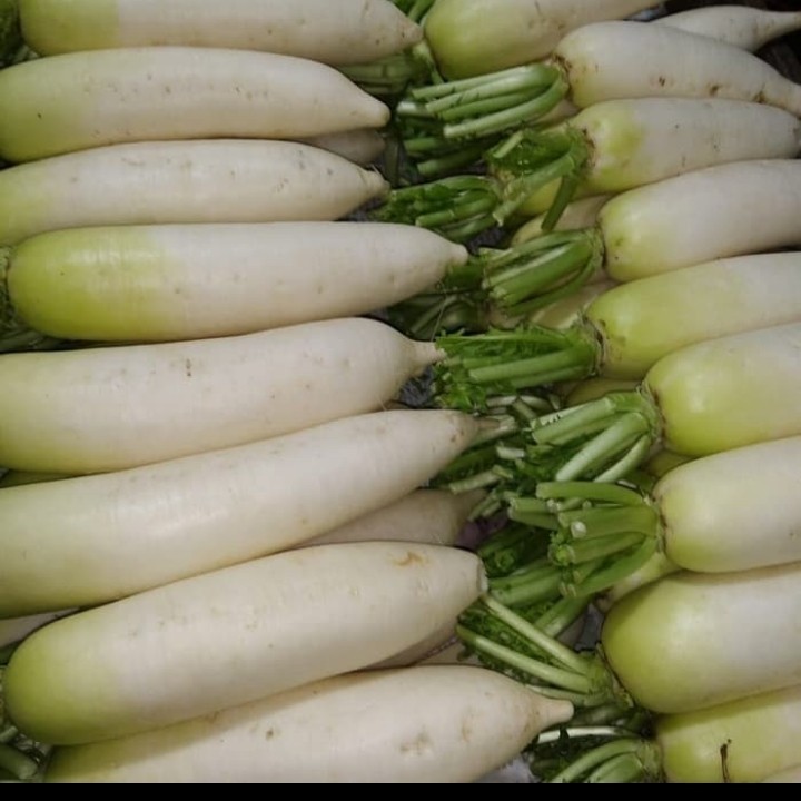 

sayur lobak putih per 1kg