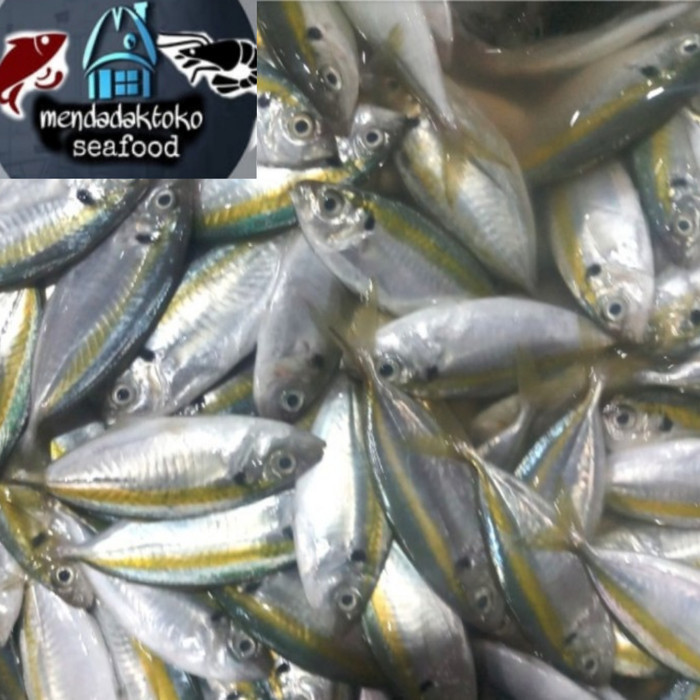 

Ayala - Ikan Selar Segar / Selar Kuning Seafood Hasil Laut Segar