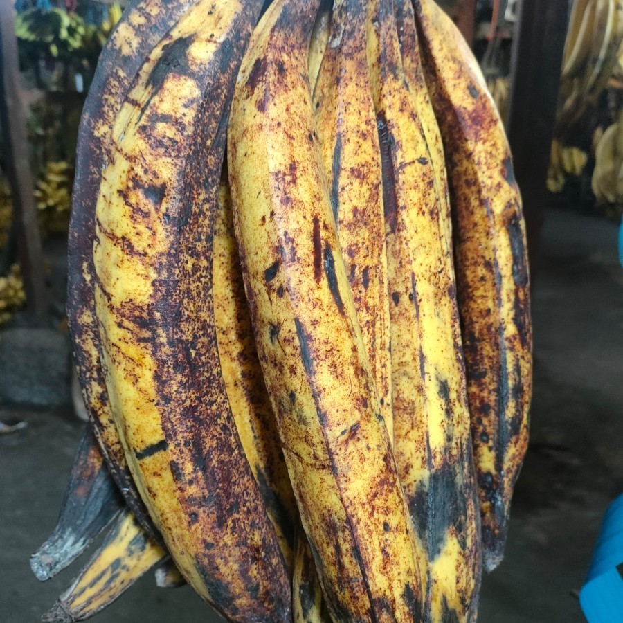 

Pisang Tanduk 1 Pcs