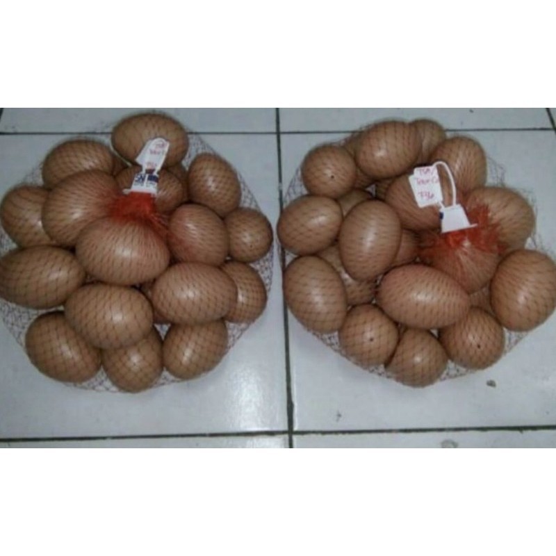 Mainan telur-teluran / Mainan telur ayam / Mainan telur untuk paskah