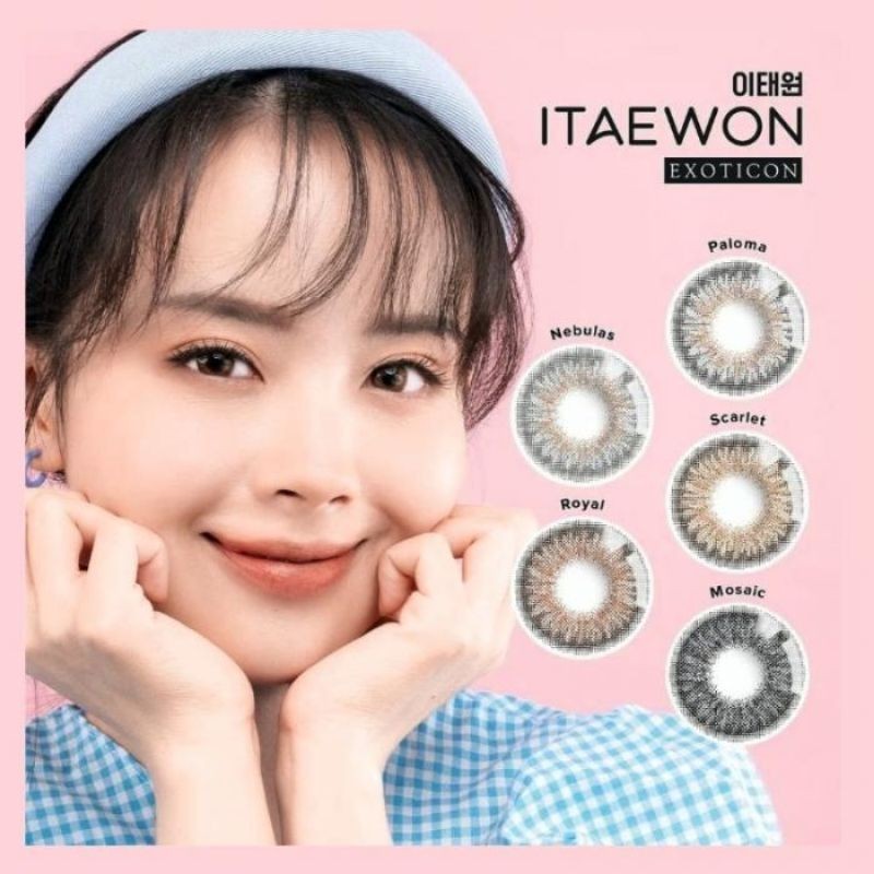 GROSIR - SOFTLENS - ITAEWON EXOTICON