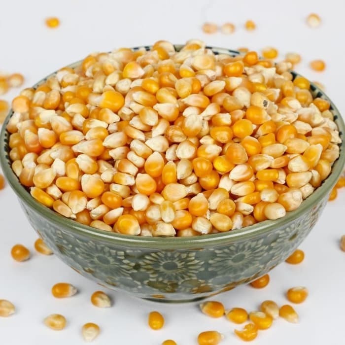 Seed Center - Bibit Benih Jagung Popcorn (5 Gram)