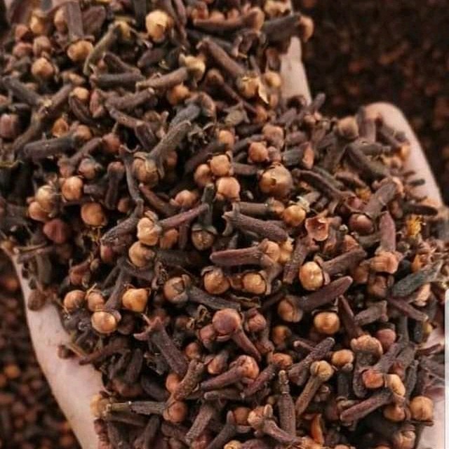 

Cengkeh Kering Super