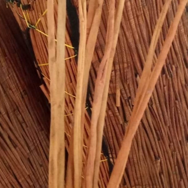 

Kayumanis Cinnamon Cassiavera Kerinci Stik Utuh Panjang Grade Aa 1 Kg