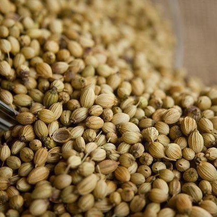 

Biji Ketumbar Coriander