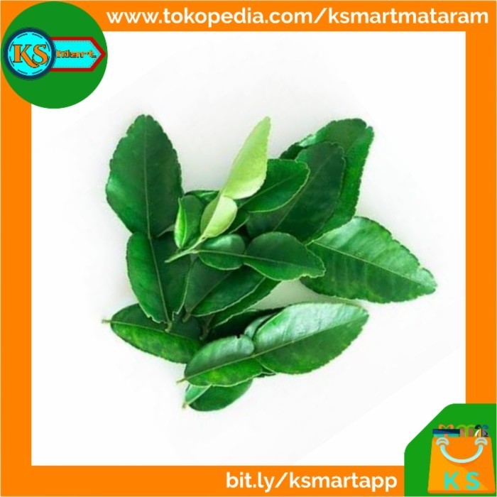 

HC112 Daun Jeruk Segar Bahan Bumbu Masakan TERBARU