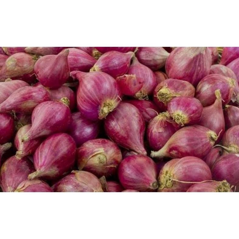 

Bawang Merah Asli Petani 1Kg