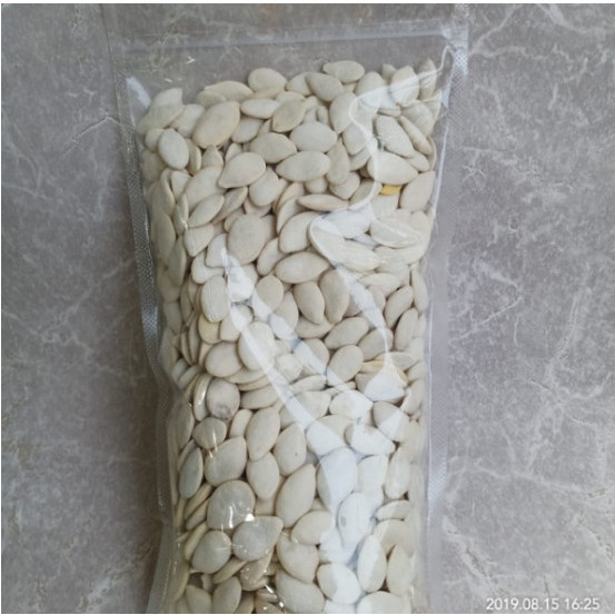 

Aneka Celan Aci Biji Labu Putih Besar/Kuaci Biji Waluh Putih